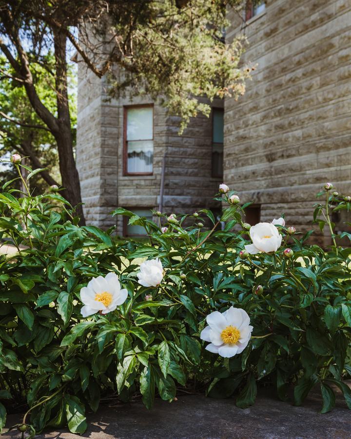 The Mansion At Elfindale Bed & Breakfast Springfield Luaran gambar