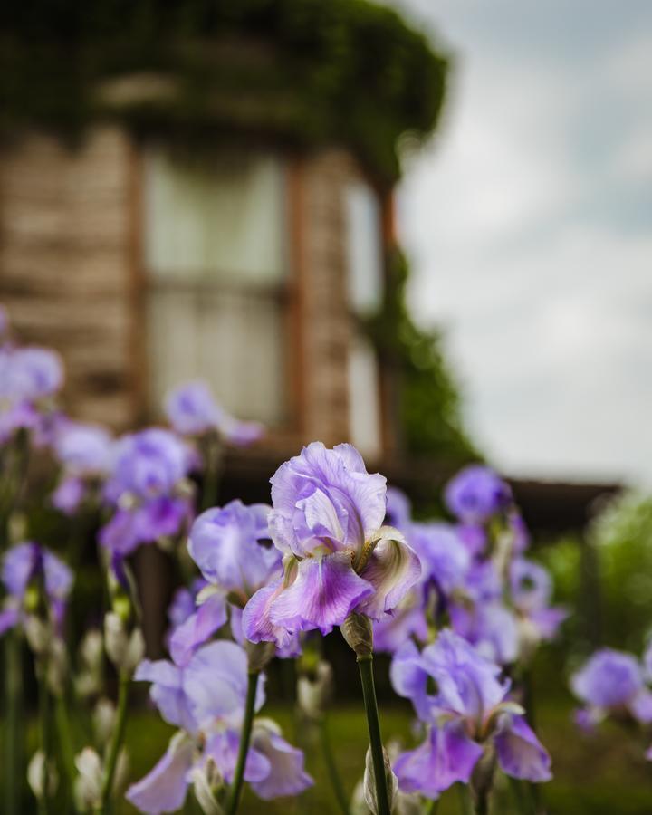 The Mansion At Elfindale Bed & Breakfast Springfield Luaran gambar